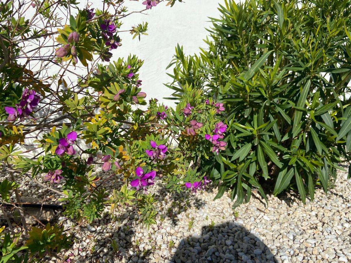 Javea Villa Entiere Piscine Et Cuisine D'Ete A Pinosol Zewnętrze zdjęcie