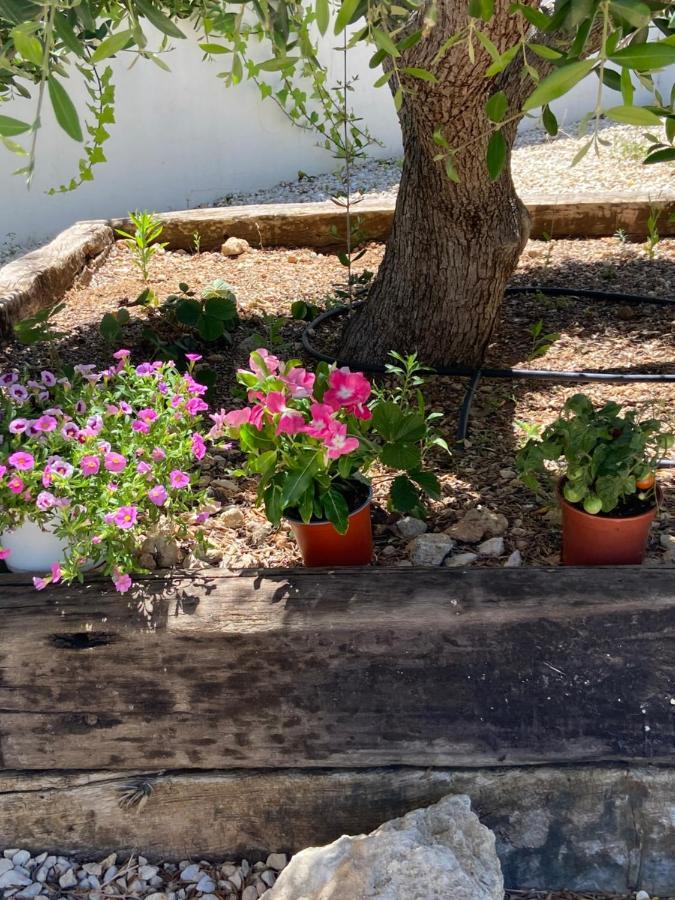 Javea Villa Entiere Piscine Et Cuisine D'Ete A Pinosol Zewnętrze zdjęcie